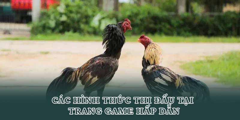 Các hình thức thi đấu tại trang game hấp dẫn