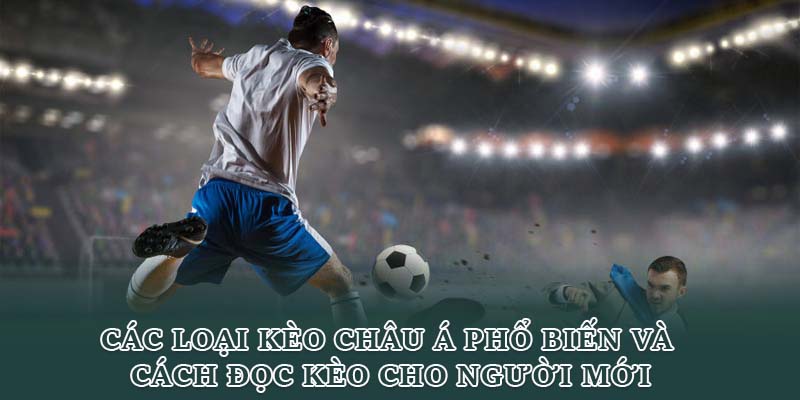 Các loại kèo châu Á phổ biến và cách đọc kèo cho người mới