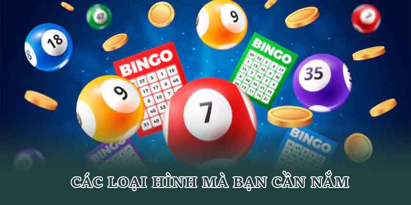 Các loại hình mà bạn cần nắm