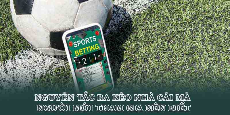 Nguyên tắc ra kèo nhà cái mà người mới tham gia nên biết