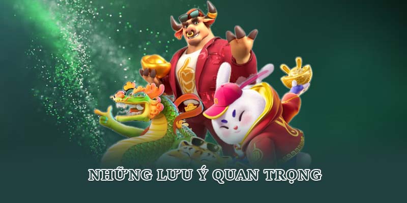 Những lưu ý quan trọng